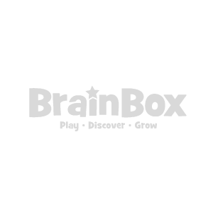 Brainbox Logo